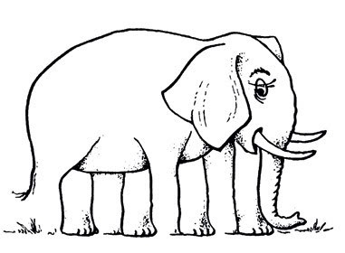 Quantas patas tem esse Elefante?